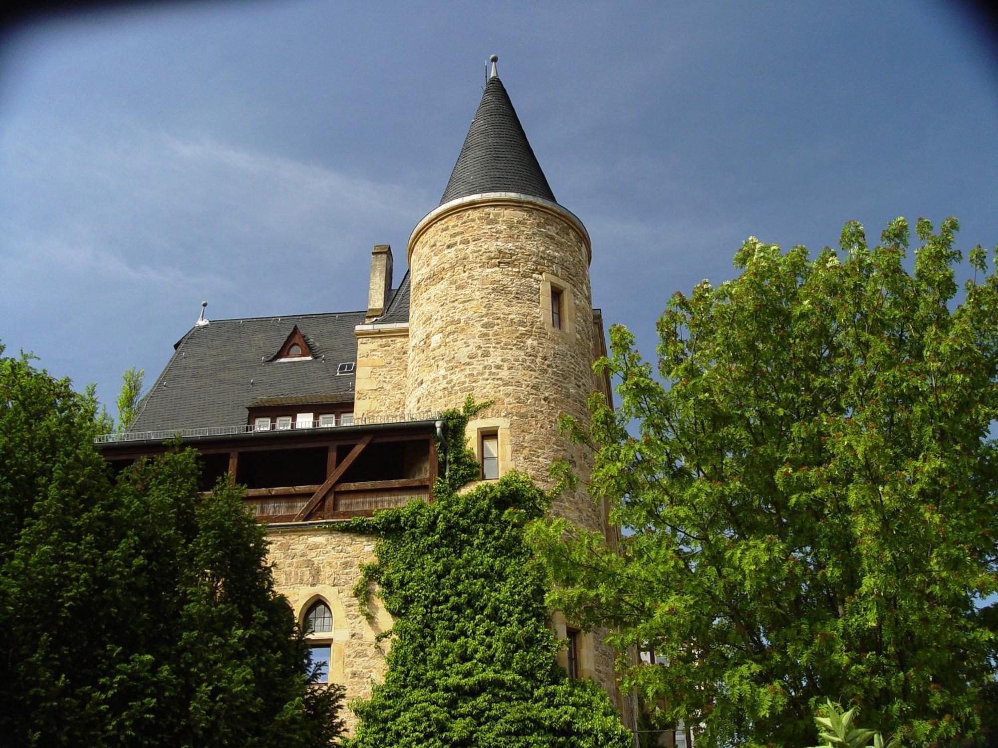 Apartment 2 Wohnung, Kueche, Bad, Balkon, Netflix Alzey